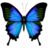 Affinity Portal